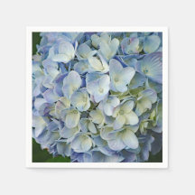 Beautiful Blue Hydrangea Flowers Photo