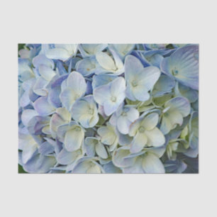 Beautiful Blue Hydrangea Flowers Photo Tissue Paper
