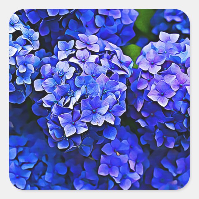 Beautiful Blue Hydrangea Flowers Stickers (Front)