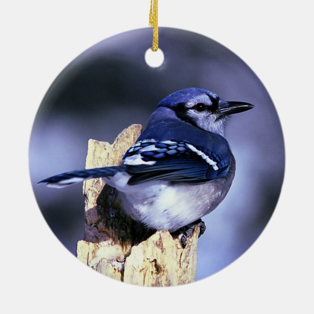 Beautiful Blue Jay bird Ceramic Ornament (Back)