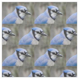 Beautiful Blue Jay Closeup Fabric