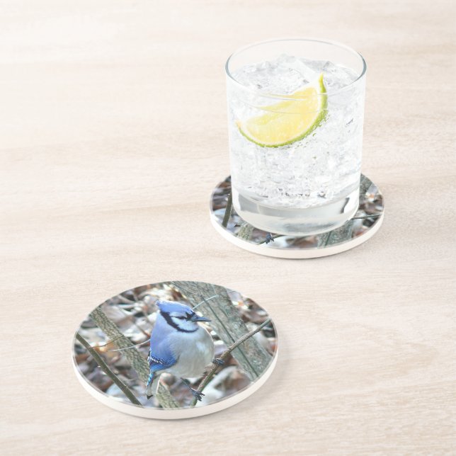 Beautiful Blue Jay Coaster (Side)