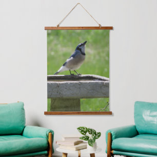 Beautiful Blue Jay Drinking Hanging Tapestry