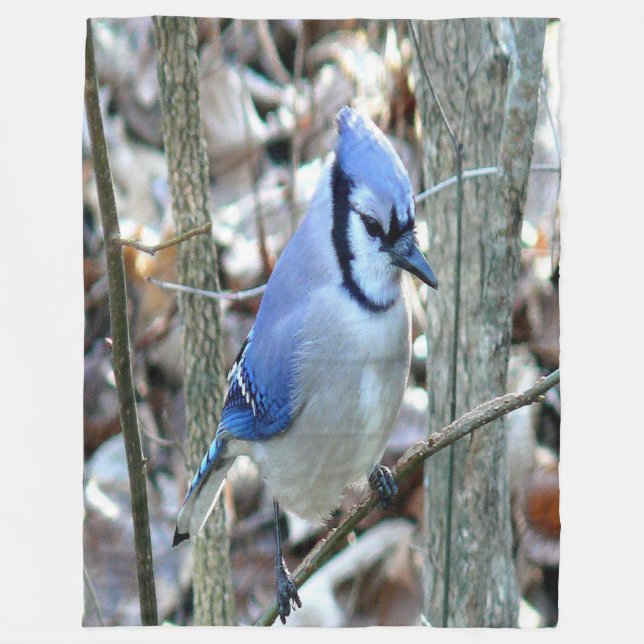 Beautiful Blue Jay Fleece Blanket (Front)