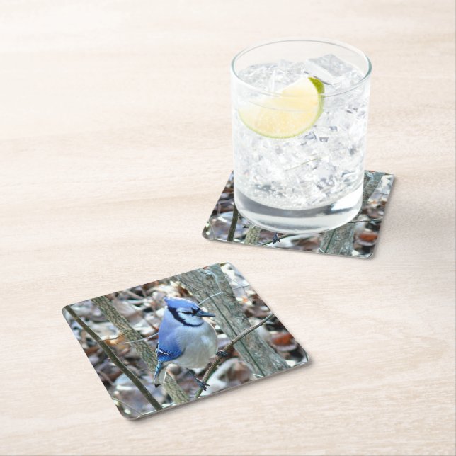Beautiful Blue Jay Square Paper Coaster (Insitu)