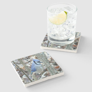 Beautiful Blue Jay Stone Coaster