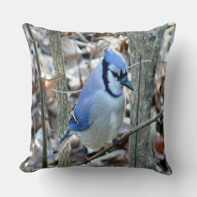 Beautiful Blue Jay Throw Pillow (Front)