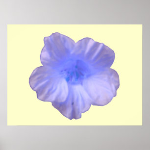 Beautiful Blue Nasturtium Print