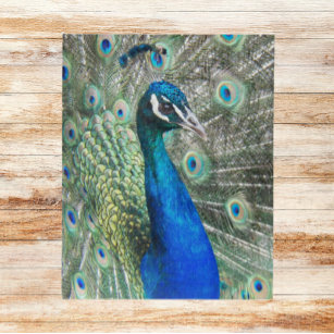 Beautiful Blue Peacock Feathers Jigsaw Puzzle