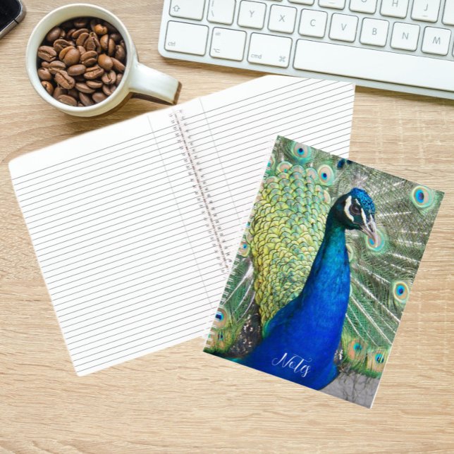 Beautiful Blue Peacock Feathers Notebook (In Situ)