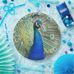 Beautiful Blue Peacock Feathers Paper Plate