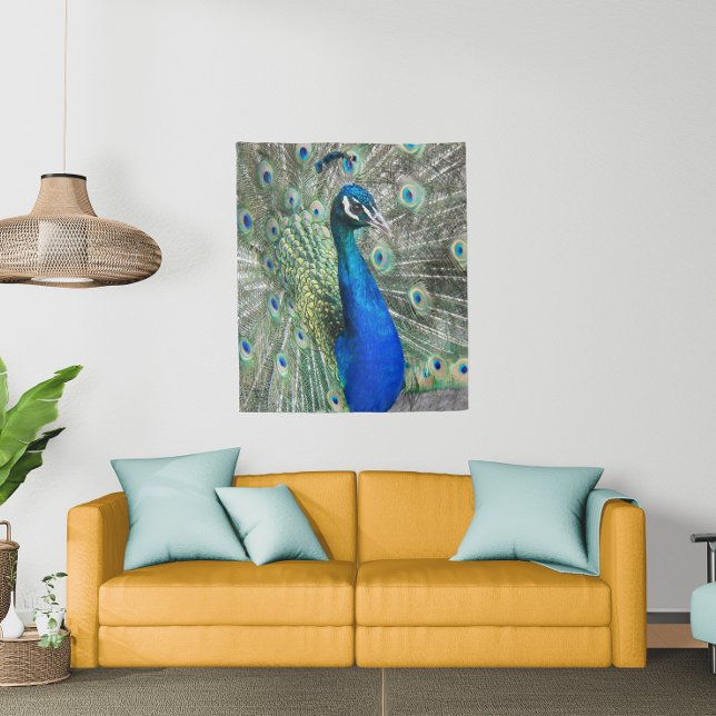 Beautiful Blue Peacock Feathers Tapestry (In Situ (Sofa))