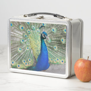 Beautiful Blue Peacock Photo Metal Lunch Box
