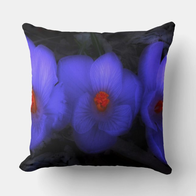 Beautiful Blue Purple Crocus Blooms Throw Pillow (Front)