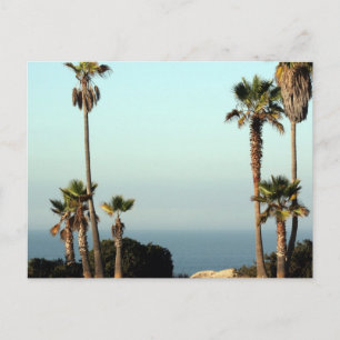 Beautiful Blue Skies Postcard