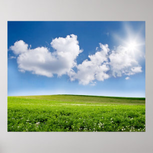 Beautiful blue sky and green field poster