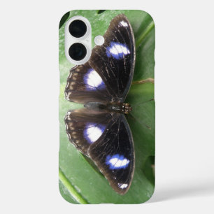 Beautiful Blue Spotted Butterfly iPhone 16 Case