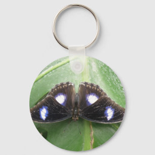 Beautiful Blue Spotted Butterfly Keychain
