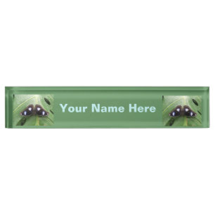 Beautiful Blue Spotted Butterfly Nameplate