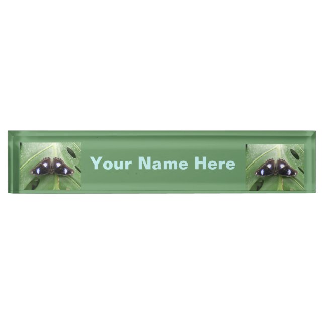 Beautiful Blue Spotted Butterfly Nameplate (Front)