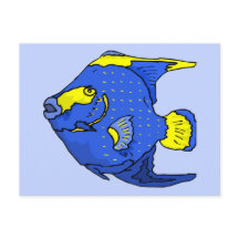 Beautiful Blue Tropical Parrot Fish