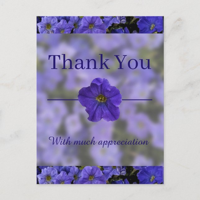 Beautiful Blue Violet Petunias Thank You Postcard (Front)