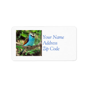 Beautiful Bluebird Mailing Label