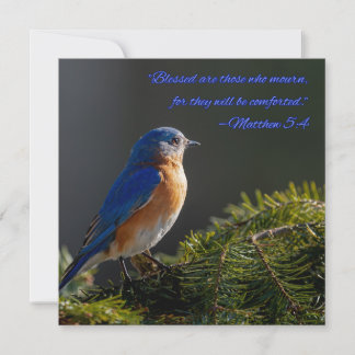 Beautiful Bluebird sympathy card Matthew 5:4