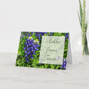 Beautiful bluebonnet Hello from Texas! Card