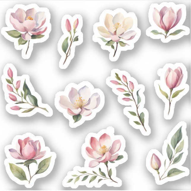 Beautiful Blush Pink Magnolia Flowers Pack (Front)