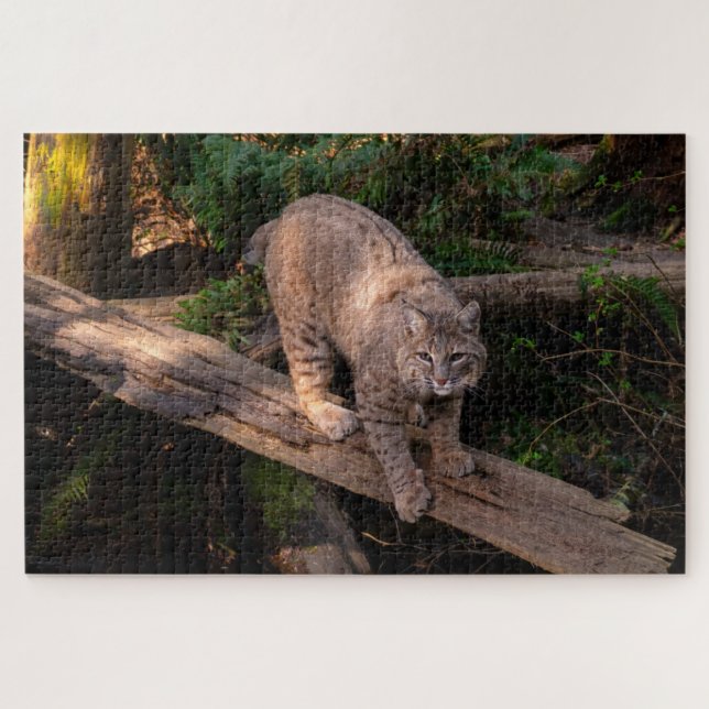 Beautiful Bobcat Challenging Wildlife Lover Jigsaw Puzzle (Horizontal)