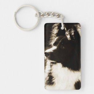 Beautiful Border Collie~ Keychain