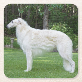 Beautiful Borzoi  Square Paper Coaster