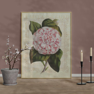 Beautiful Botanical Print Camellia Flower
