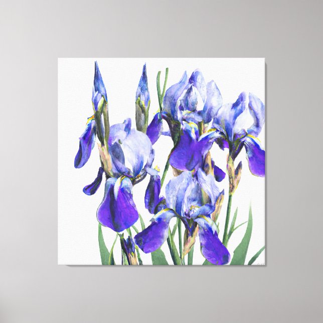 Beautiful Botanical Watercolor Blue Iris Flowers P Canvas Print (Front)