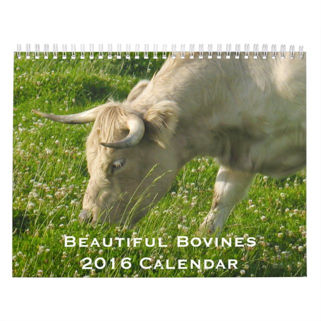 Beautiful Bovines 12 Month Calendar for 2016 (Cover)