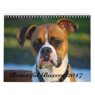 Beautiful Boxers 2017 Calendar