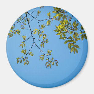 beautiful branch with green and yellow leaves hug magnet
