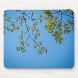 beautiful branch with green and yellow leaves hug mouse pad