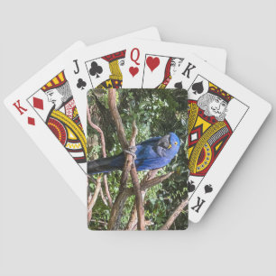 Beautiful Bright Blue Parrot Playing Cards