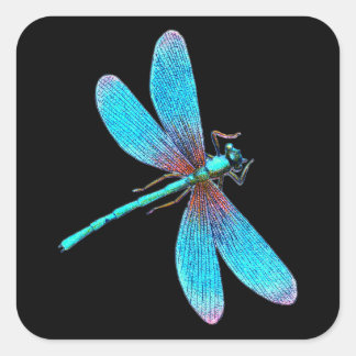 Beautiful Bright Blue Turquoise Dragonfly Square Sticker