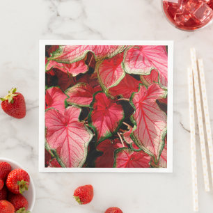 BEAUTIFUL BRIGHT CALADIUM PLANT Paper Napkin