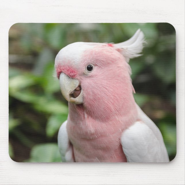 Beautiful Bright Pink and White Parrot Mouse Pad (Front)