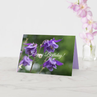 Beautiful bright purple flowers Aquilegia vulgaris Card