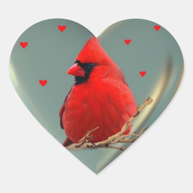 Beautiful Bright Red Cardinal, A sticker to deligh (Front)