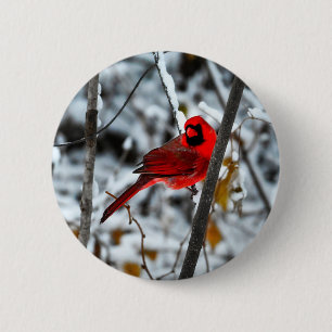 Beautiful Bright Red Cardinal in the Snow 2 Inch Round Button