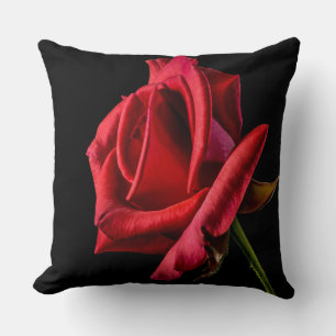 Beautiful Bright Red Rose Closeup Throw Pillow