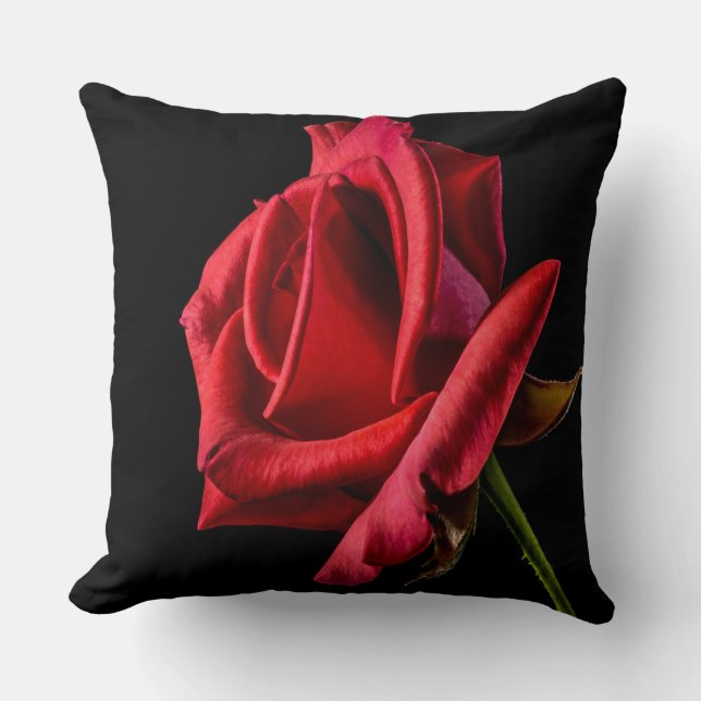 Beautiful Bright Red Rose Closeup Throw Pillow (Front)