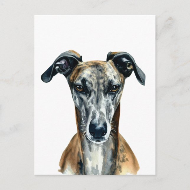 Beautiful brindle Greyhound illustration Postcard (Front)