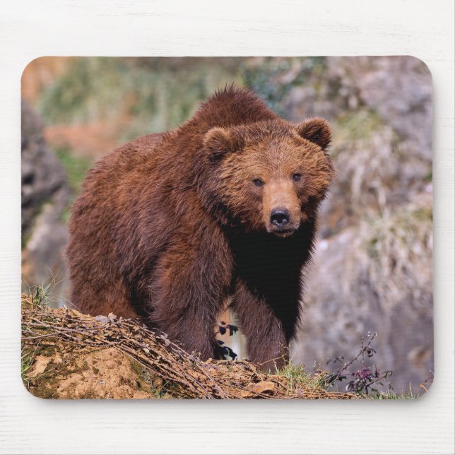 Beautiful Brown Bear Mouse Pad (Front)